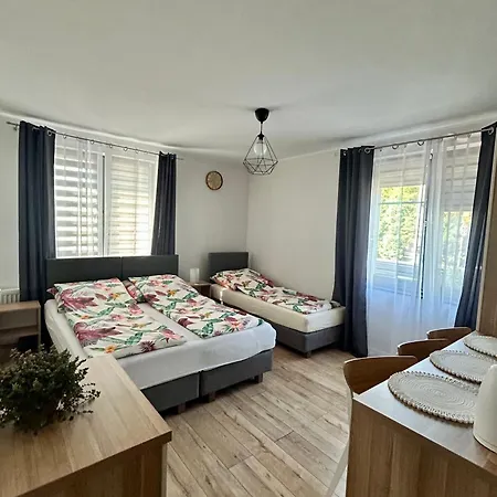 Zatoka 17 Проживание в семье *